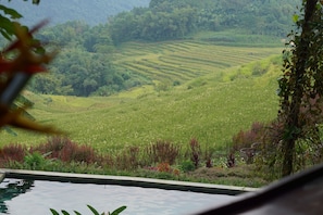 Suite, 1 Bedroom, Garden View | Balcony view