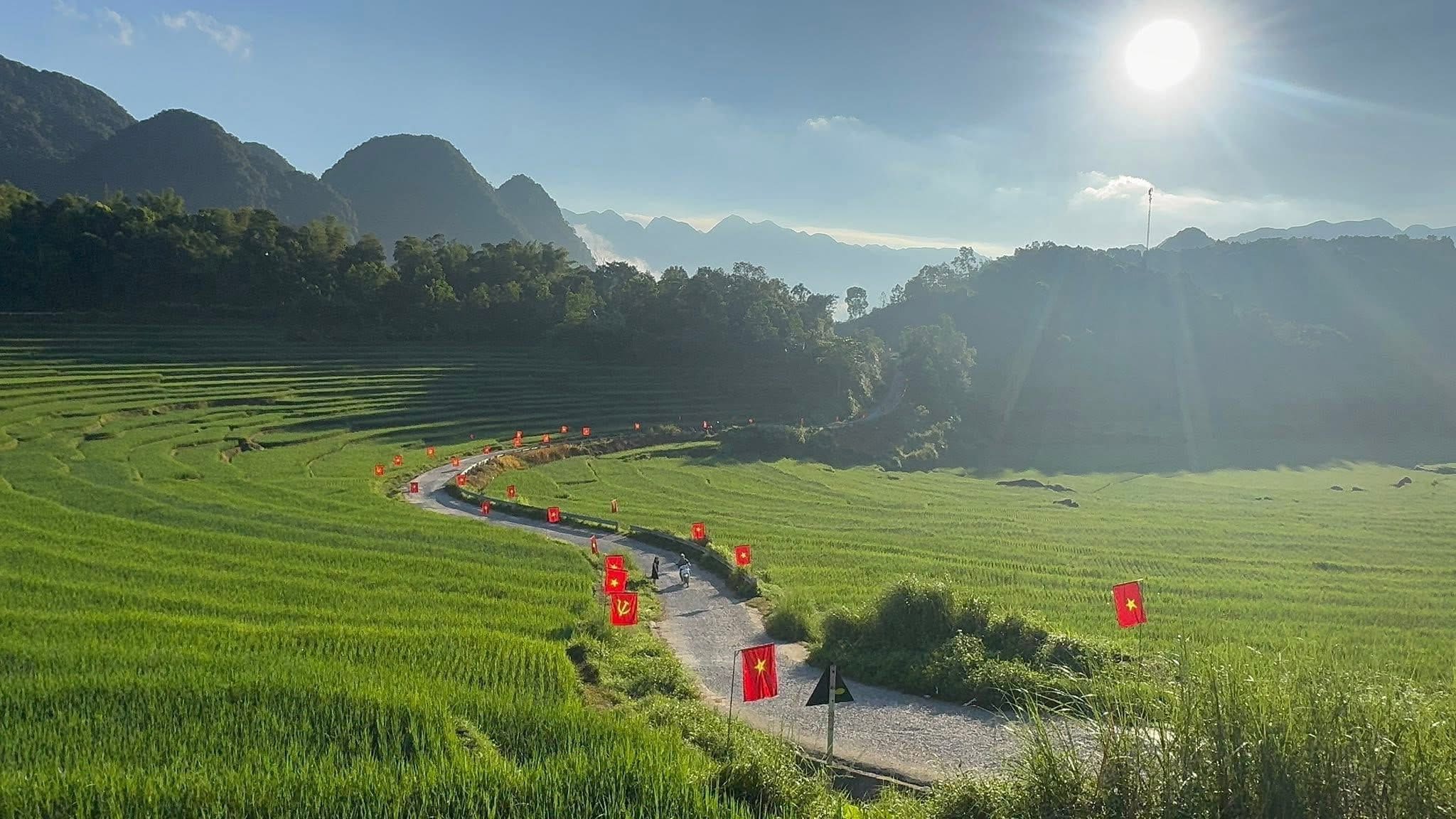 A terraced rice field with a winding path and red flags.