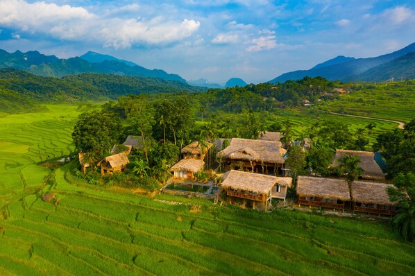 A rural village with traditional thatched-roof houses surrounded by terraced rice fields and lush greenery. - Puluong Natura Bungalow (Pu Luong)
