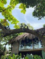 Un árbol con frutos colgantes y una estructura con techo de paja.