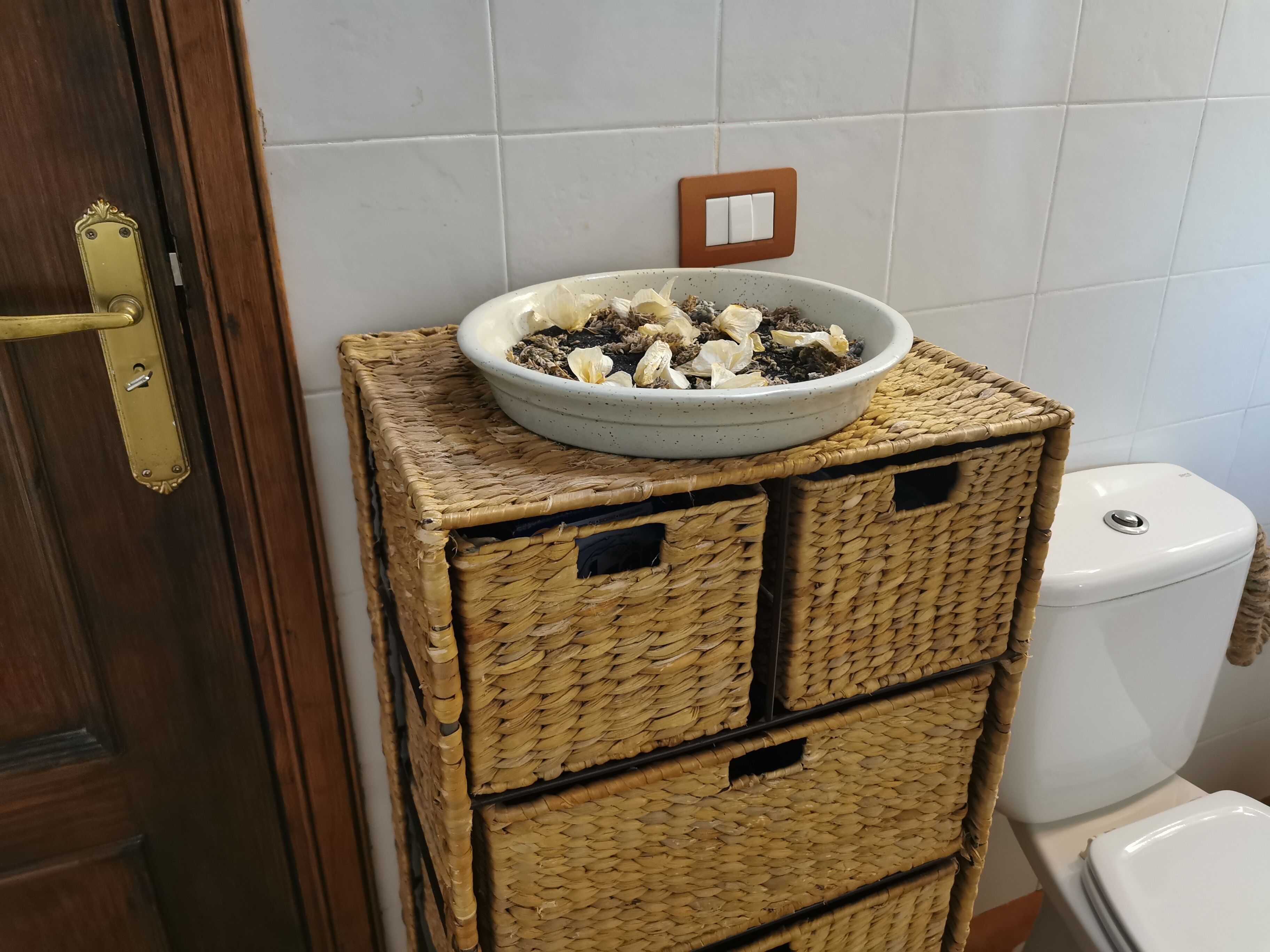 Foto - Villa Cecilio