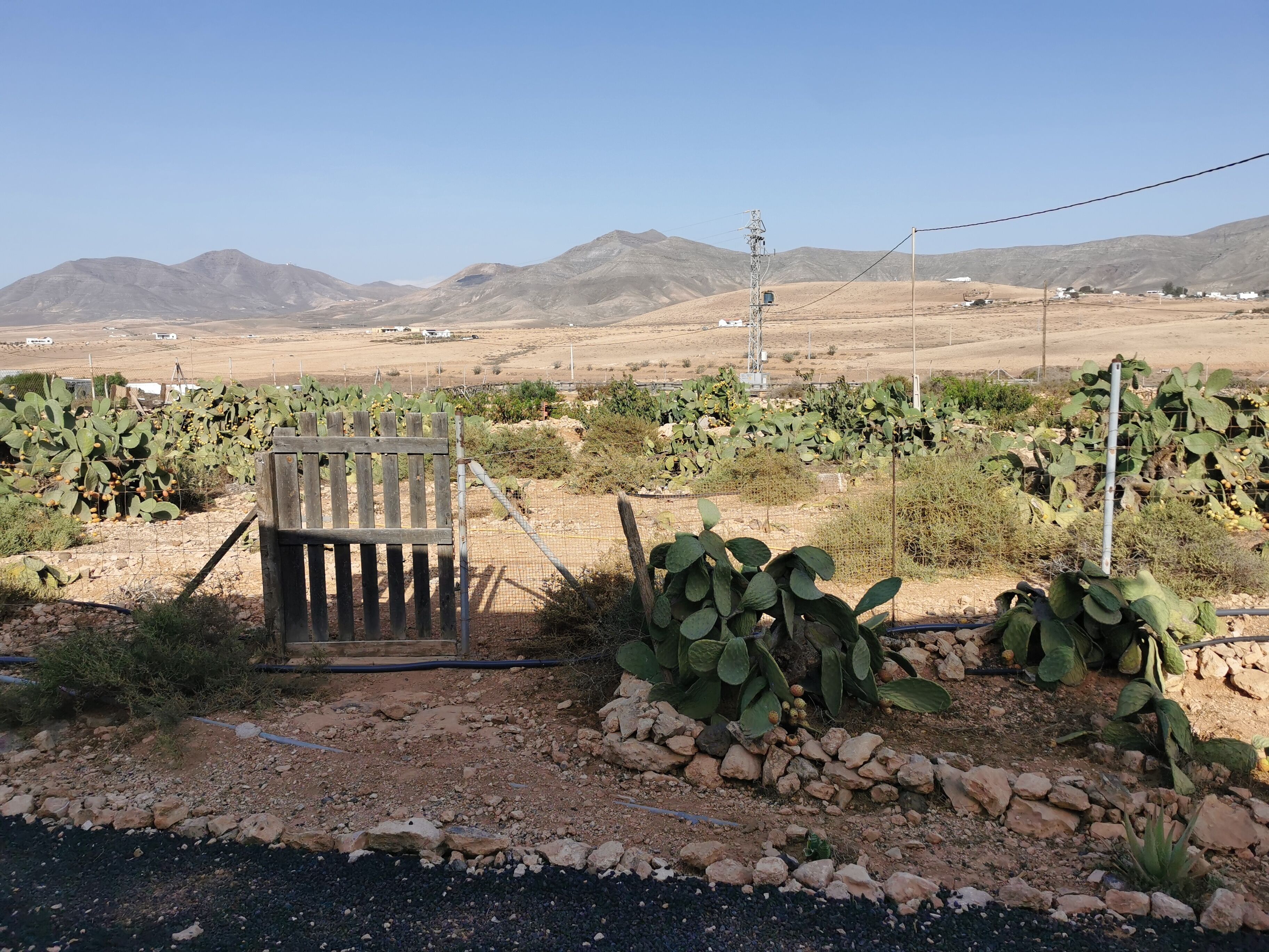 Foto - Villa Cecilio