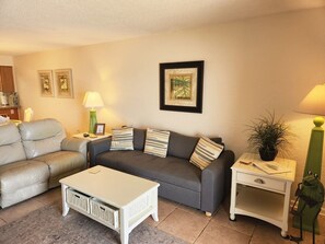 Smart TV, DVD player, books