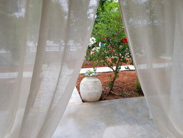 Terrain de l’hébergement 