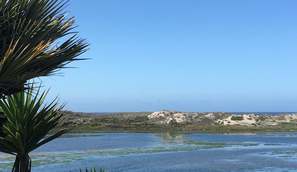 Un paisaje costero con una masa de agua, dunas de arena y vegetación escasa.