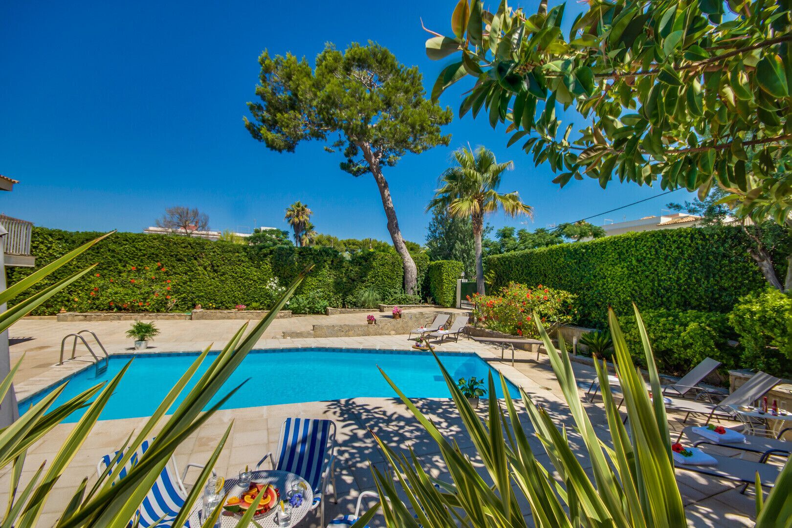 Uma piscina com espreguiçadeiras e uma mesa com bebidas, cercada por vegetação e árvores.