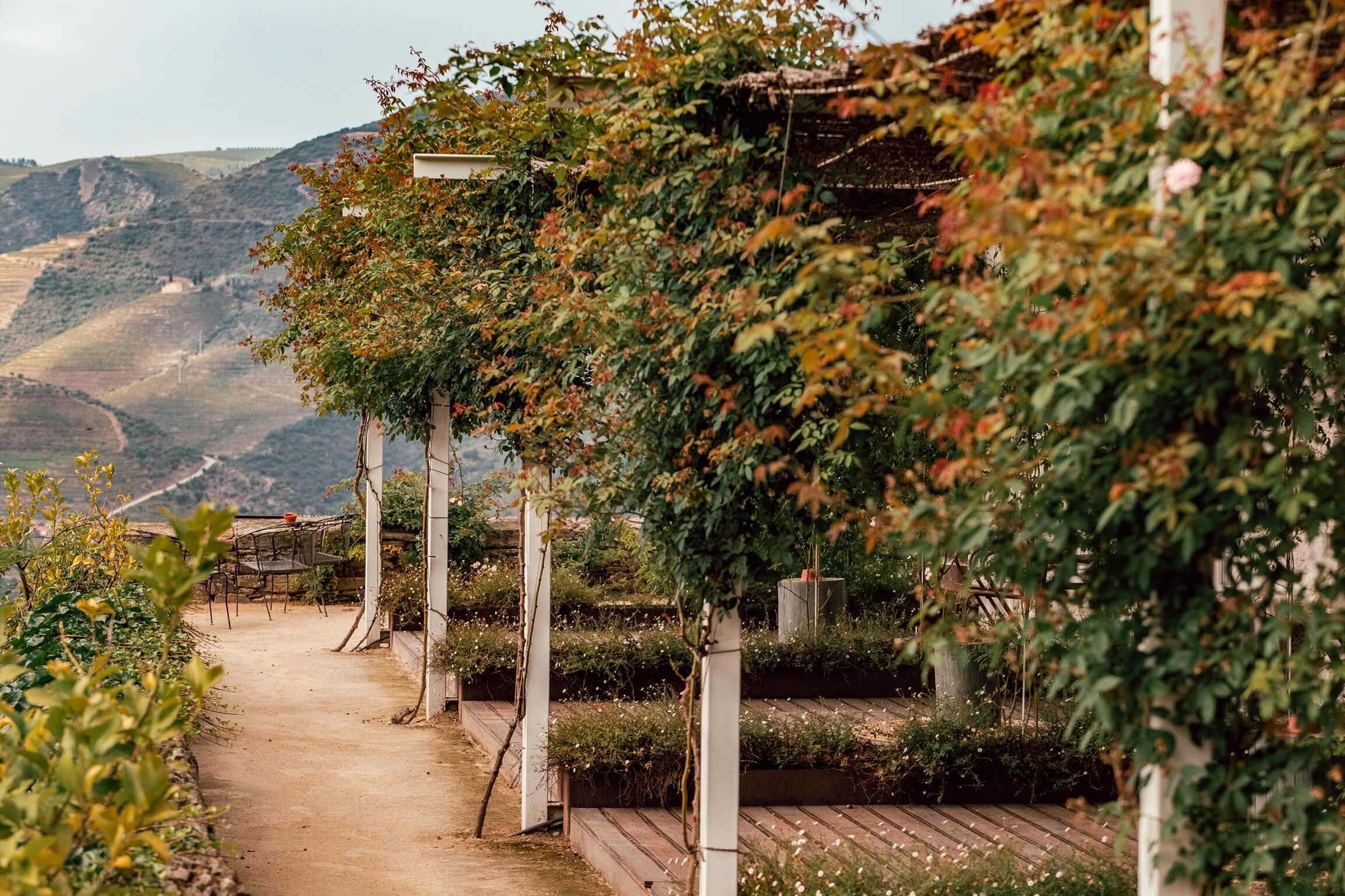 double room | terrace/patio