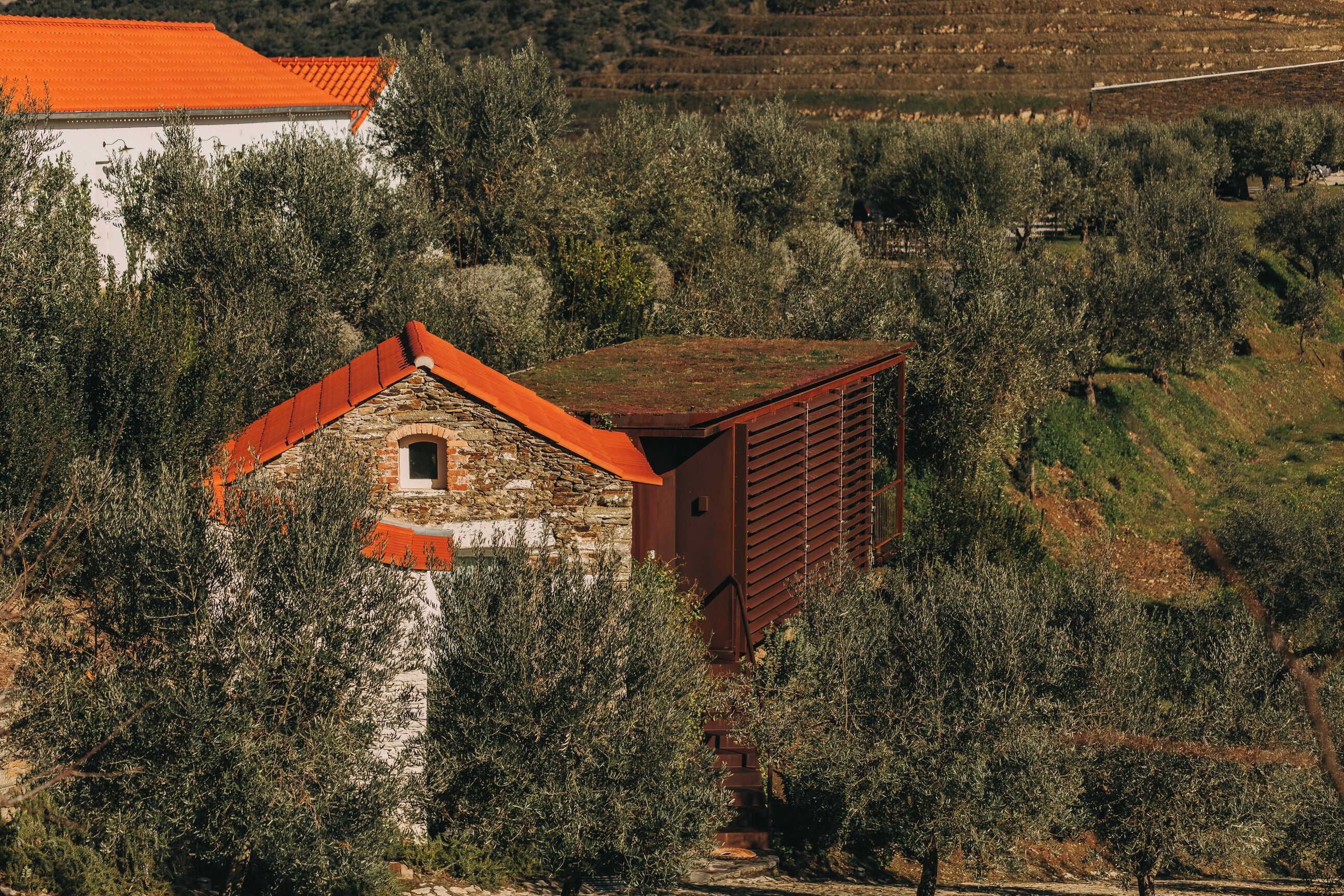 Un bâtiment rustique en pierre, avec un toit rouge, entouré d’oliviers et situé dans un paysage vallonné.