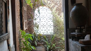 A cozy room with a window, a large potted plant, a rustic wooden door, and a traditional woven basket. - African Heritage House (Mlolongo)