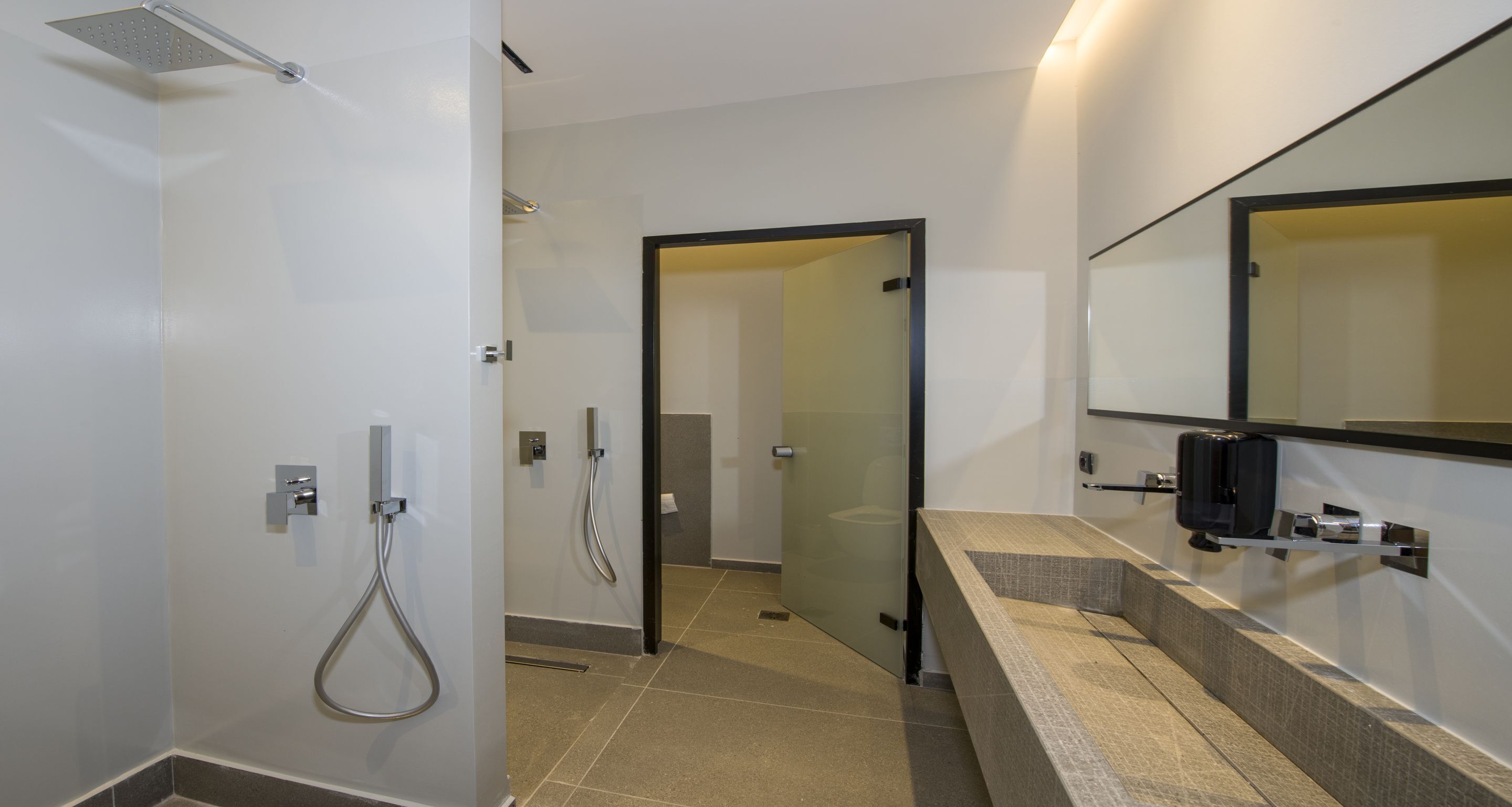 A modern bathroom with a shower, a glass door leading to a toilet, and a vanity with a mirror.