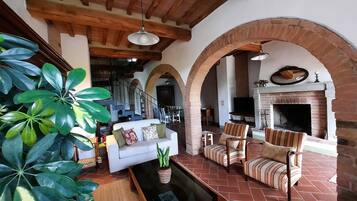 Fernseher, Kamin, DVD-Player, BĂŒcher