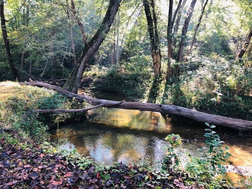 Top 10 Cabin Rentals Near North Carolina Updated 2024