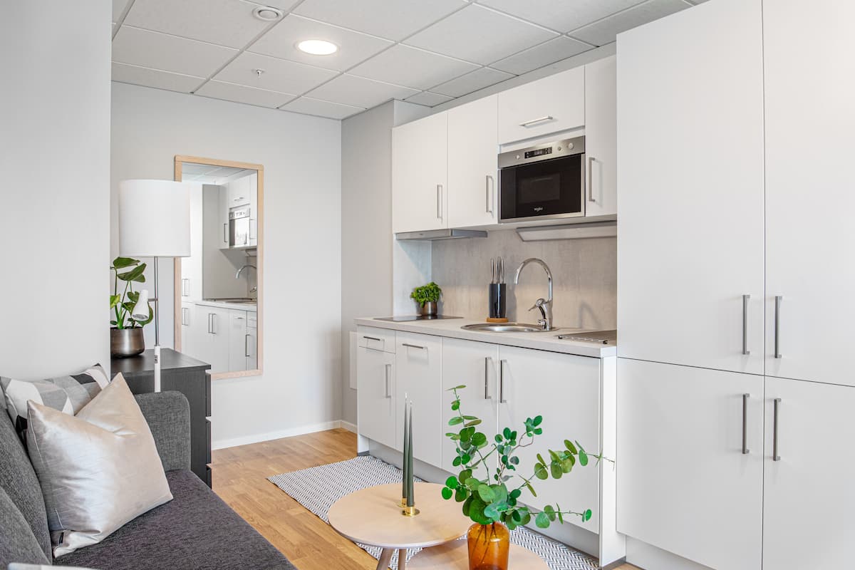 luxury studio suite | private kitchen | fridge, microwave, stovetop, dishwasher