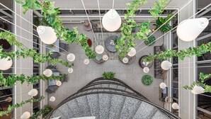 A modern interior with a central staircase, multiple hanging planters, and pendant lights.