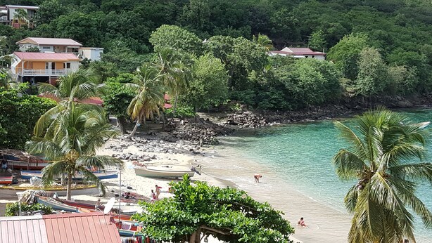Una spiaggia con acque cristalline turchesi, palme e un litorale roccioso.