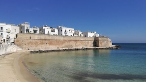A coastal town with white buildings, a sandy beach, and a clear blue sea. - La Terrazza dell'Antico Gozzo (Monopoli)