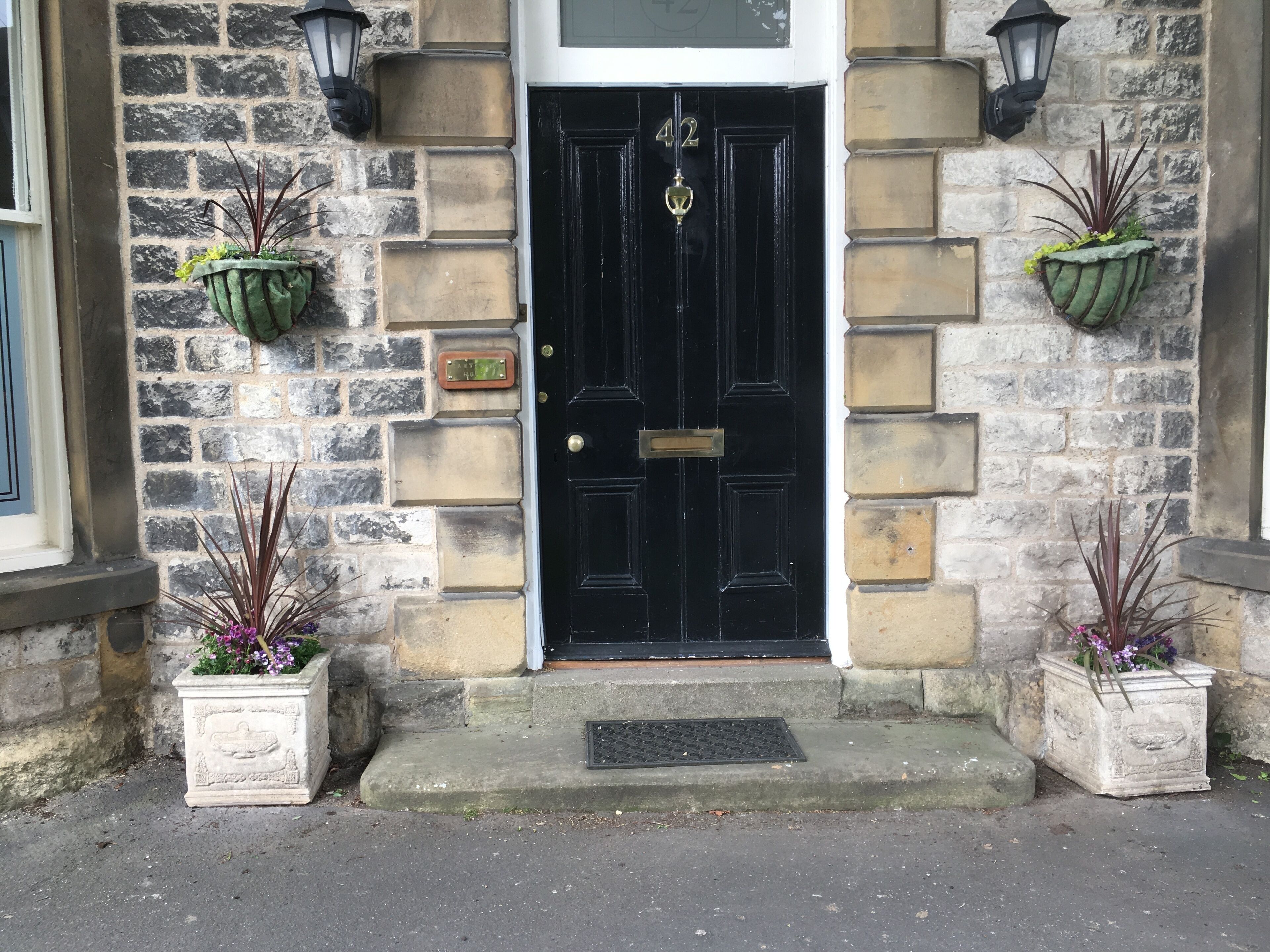 A black door with the number 42, flanked by two potted plants and a small mailbox.