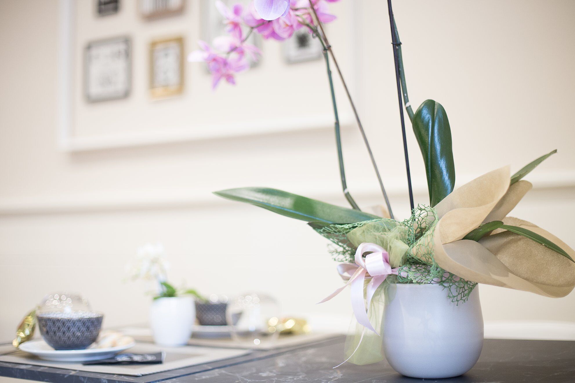 A potted orchid with a ribbon, a small bowl, and a white pot on a table.