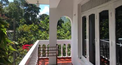 White House Hostel