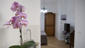 A modern kitchen with a sink, a potted orchid, and a wooden cabinet in the background. - Vesuvio Blu Apartment in the center of Naples (Napoli)