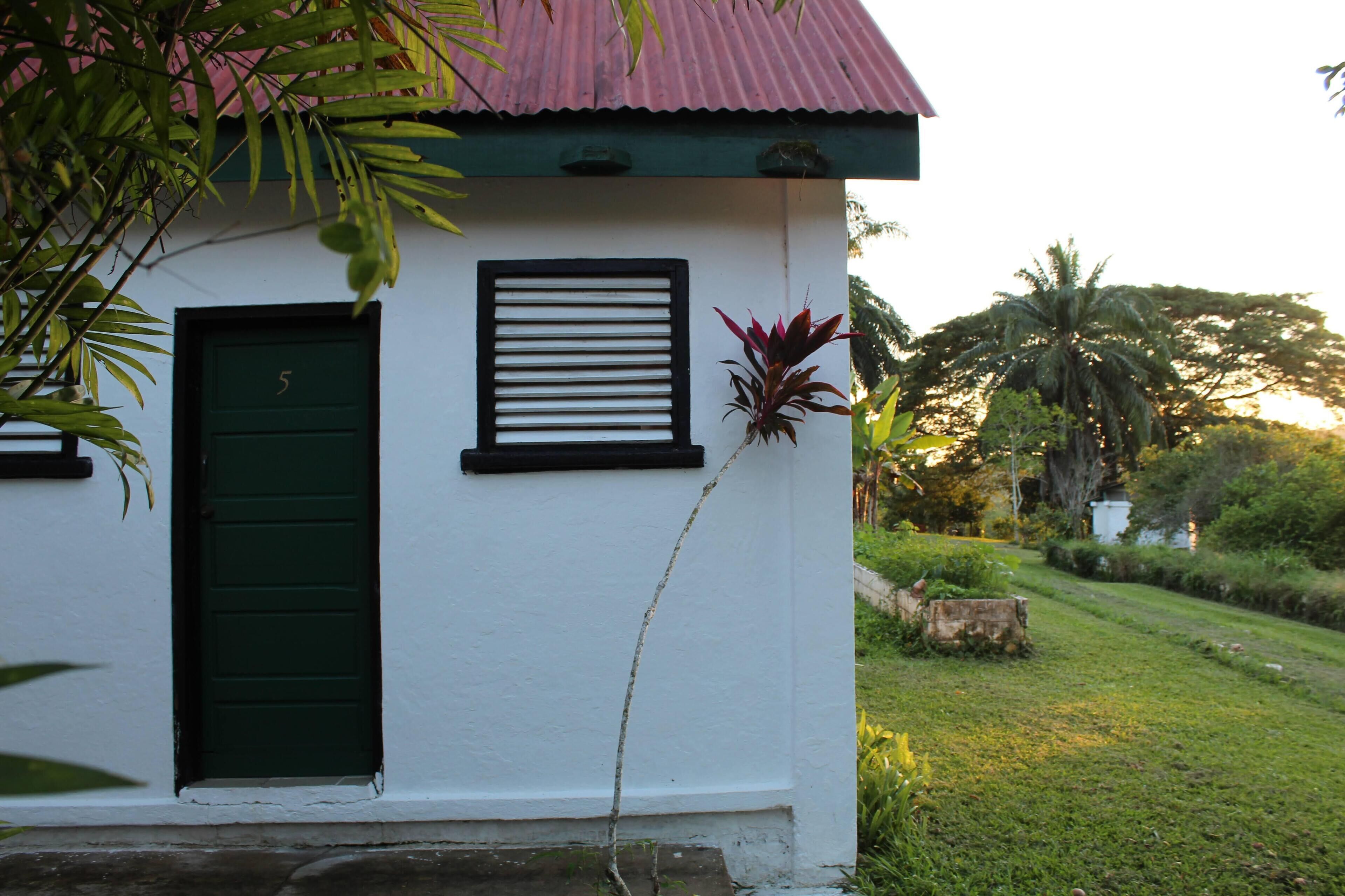Un edificio blanco con puerta y contraventanas verdes, rodeado de follaje y una palmera.