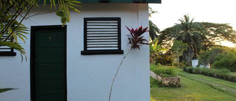 A white building with a green door and window shutters, surrounded by greenery and a palm tree.