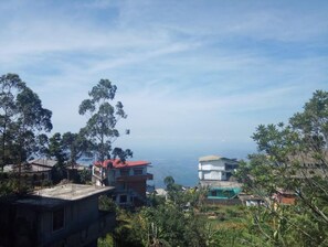 Residential area surrounded by lush greenery and calm surroundings.