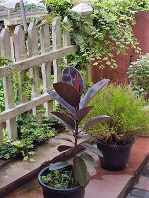 Jardines del alojamiento