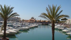 A marina with numerous boats docked, palm trees, and buildings in the background.