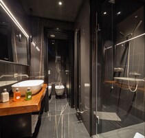 A modern bathroom with a large sink, bidet, and glass-enclosed shower.