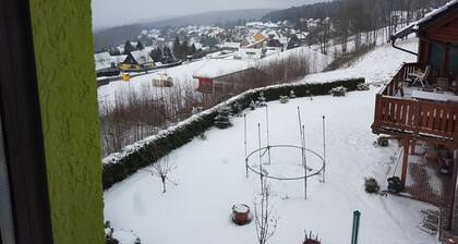 Ferienwohnung am Balkon des Erzgebirges