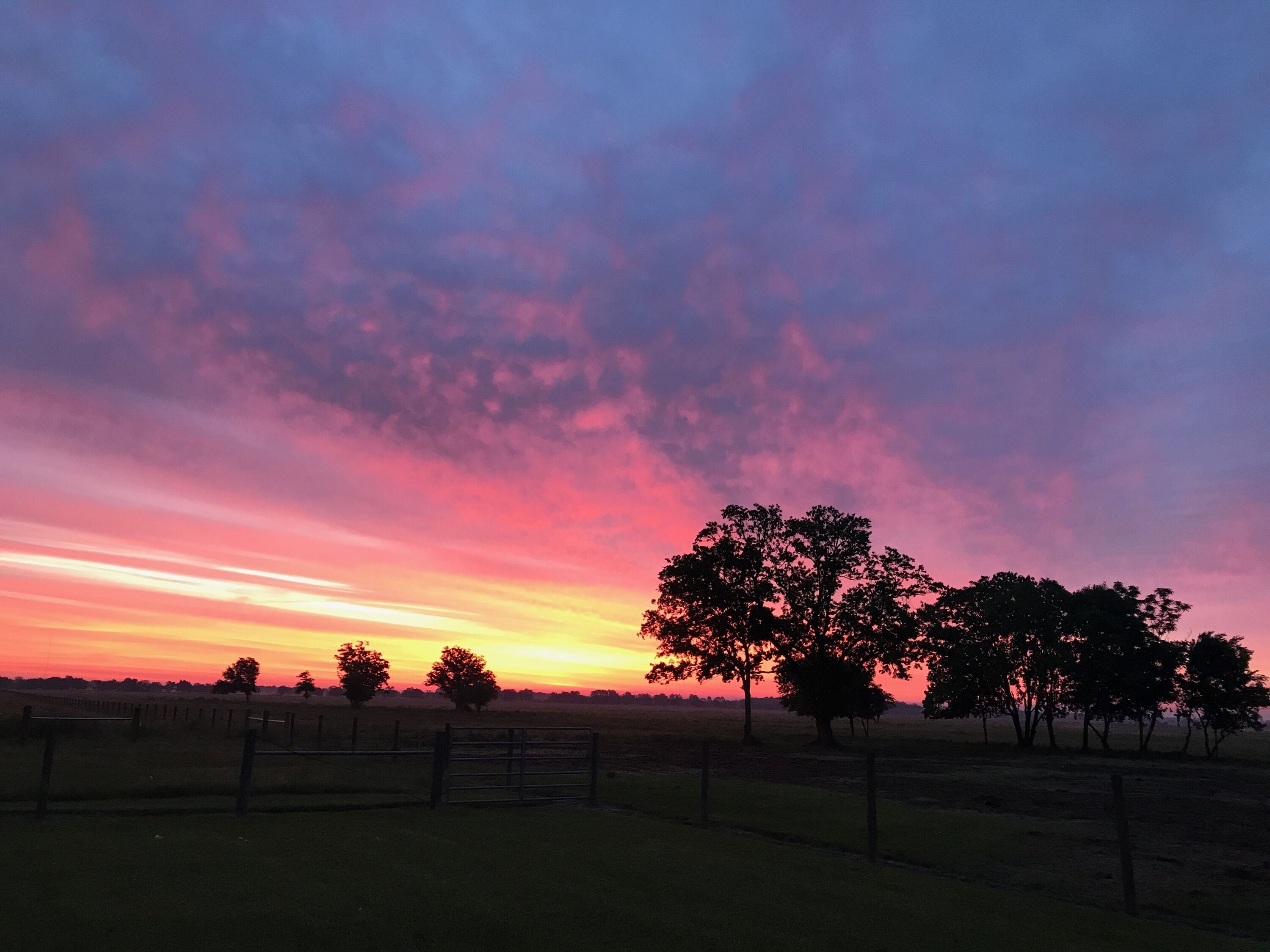Sugar Land Countryside and Brazos Bend Park quiet farm house retreat