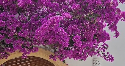 Beautiful Hacienda villa with sea view/AC/ gratis WIFI Benissa/Moraira