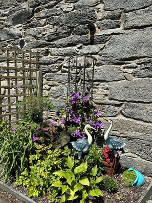 Exterior - Tyn Y Fron Country House (Betws-Y-Coed)