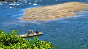 A coastal scene with a sandy beach and boats in the water. - Tyn Y Fron Country House (Betws-Y-Coed)