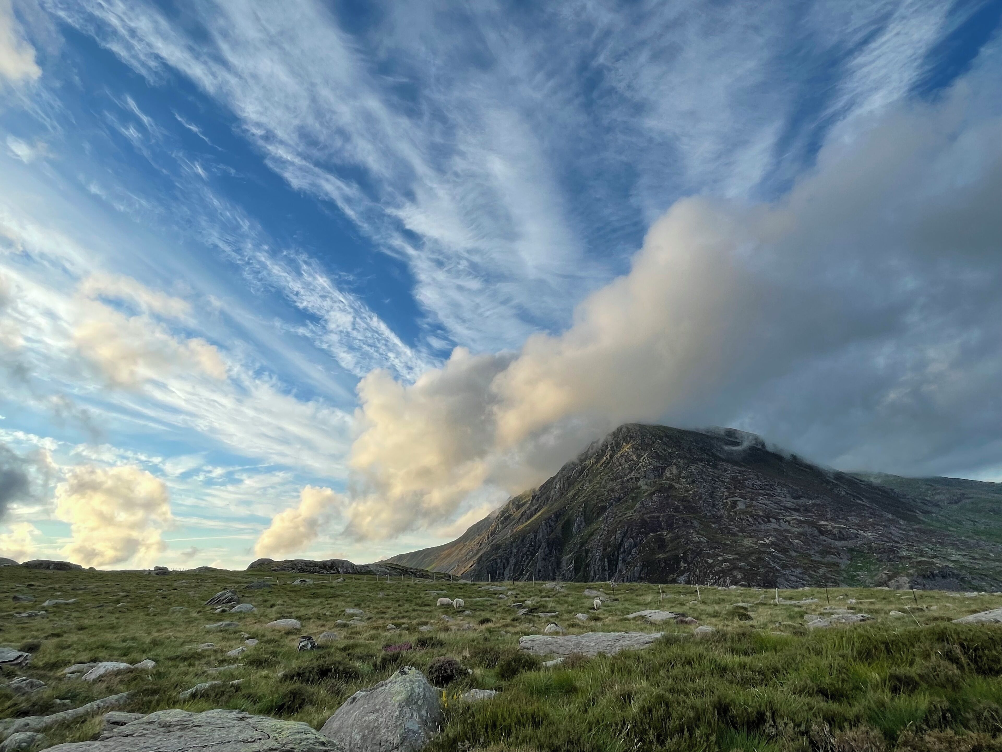 Un paysage montagneux caractérisé par un sommet imposant, des prairies verdoyantes et des rochers dispersés.