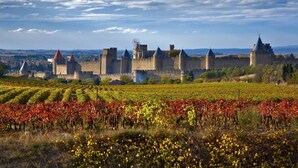 A historic castle with a fortified wall and multiple towers, surrounded by vineyards. - La Demeure Du Pareur (Villeneuve-Minervois)