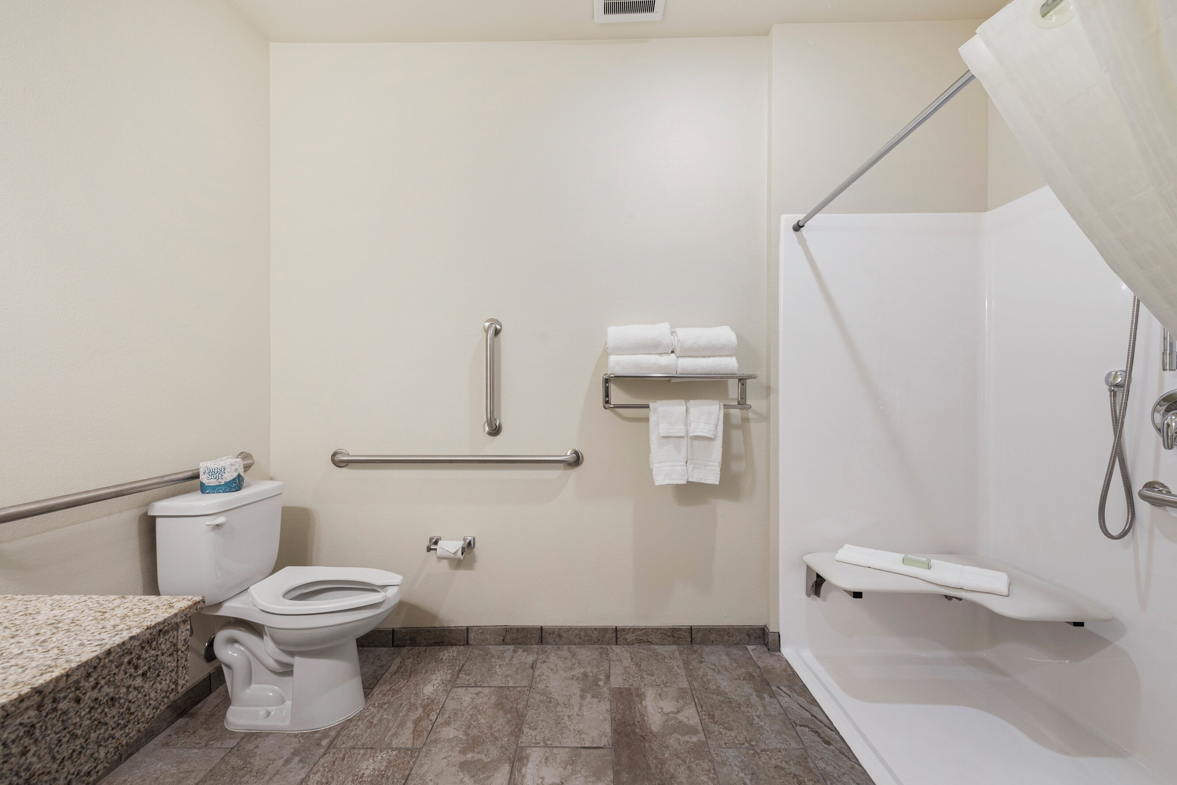 A bathroom with a toilet, grab bars, a shower, and a towel rack.