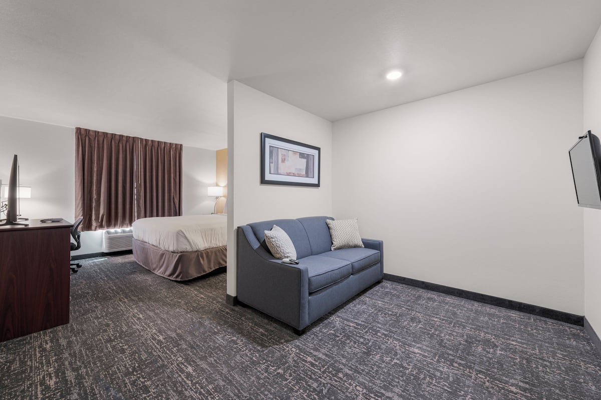 Une chambre d’hôtel avec un lit, un canapé, un bureau et un tableau encadré au mur.