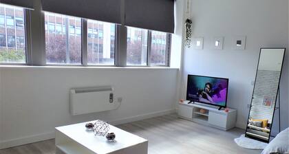 Entire Stylish Modern Studio Apartment - 2min walk to Underground near Wembley