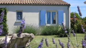 A house with a tiled roof, blue shutters, and a garden with lavender and other plants. - Lavender Cottage is a one bedroom gîte with private terrace and garden (Étaules, Nouvelle-Aquitaine,)