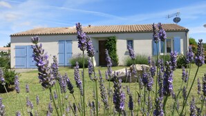 Una casa con techo de tejas, una puerta azul y una antena parabólica.