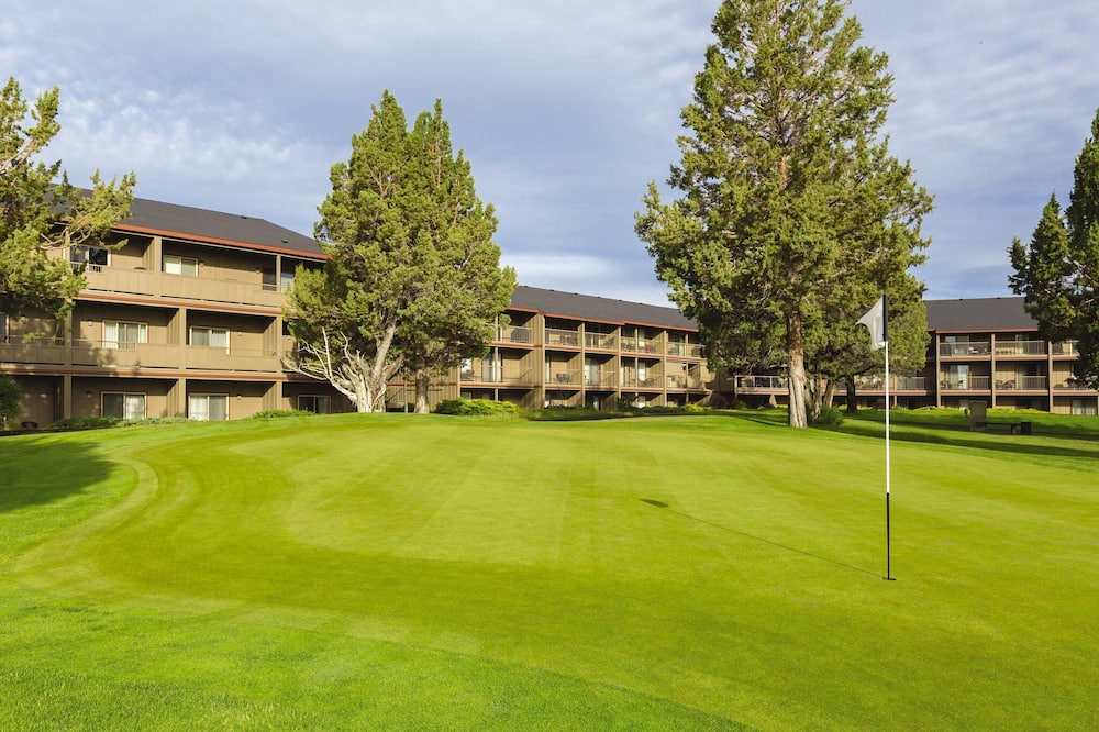 More fun than you have time for !