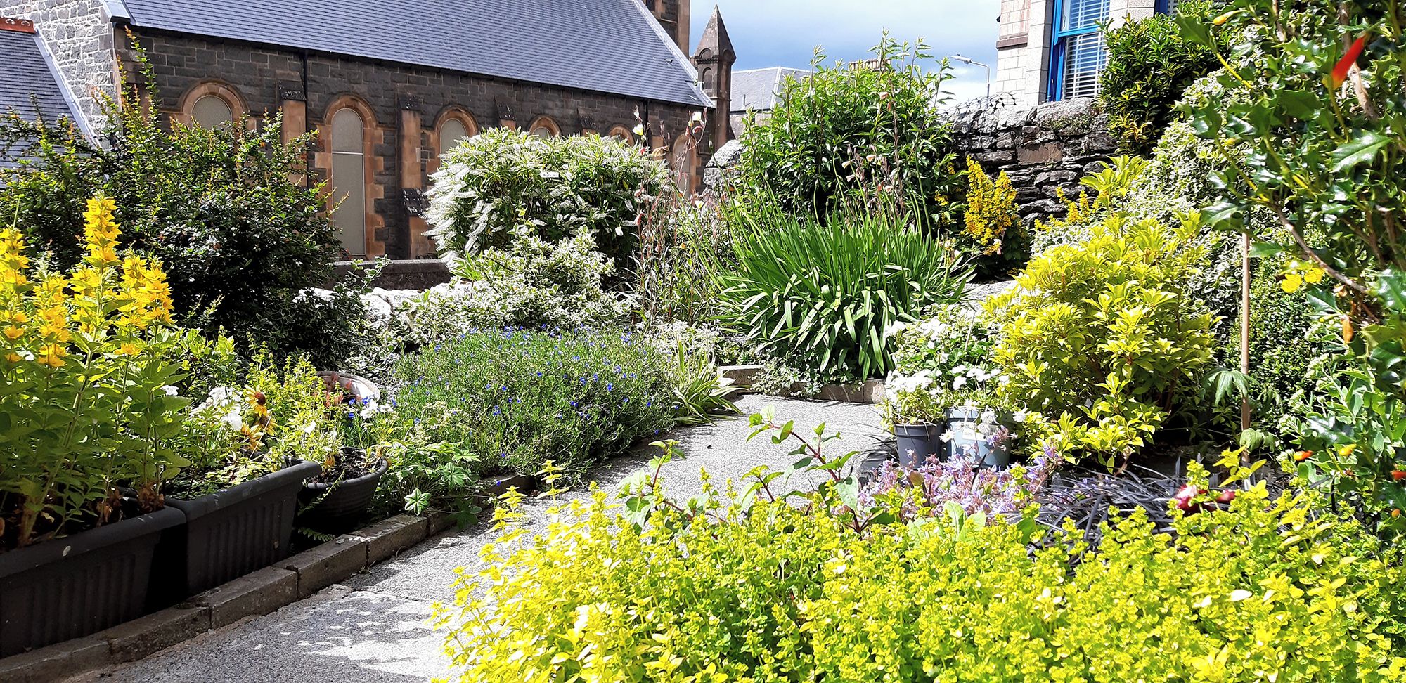 A garden with various plants and flowers, a stone wall, and a building with arched windows.