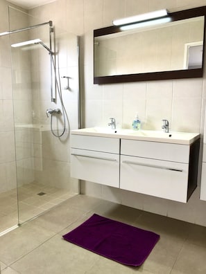 Shower, hair dryer, bidet, towels