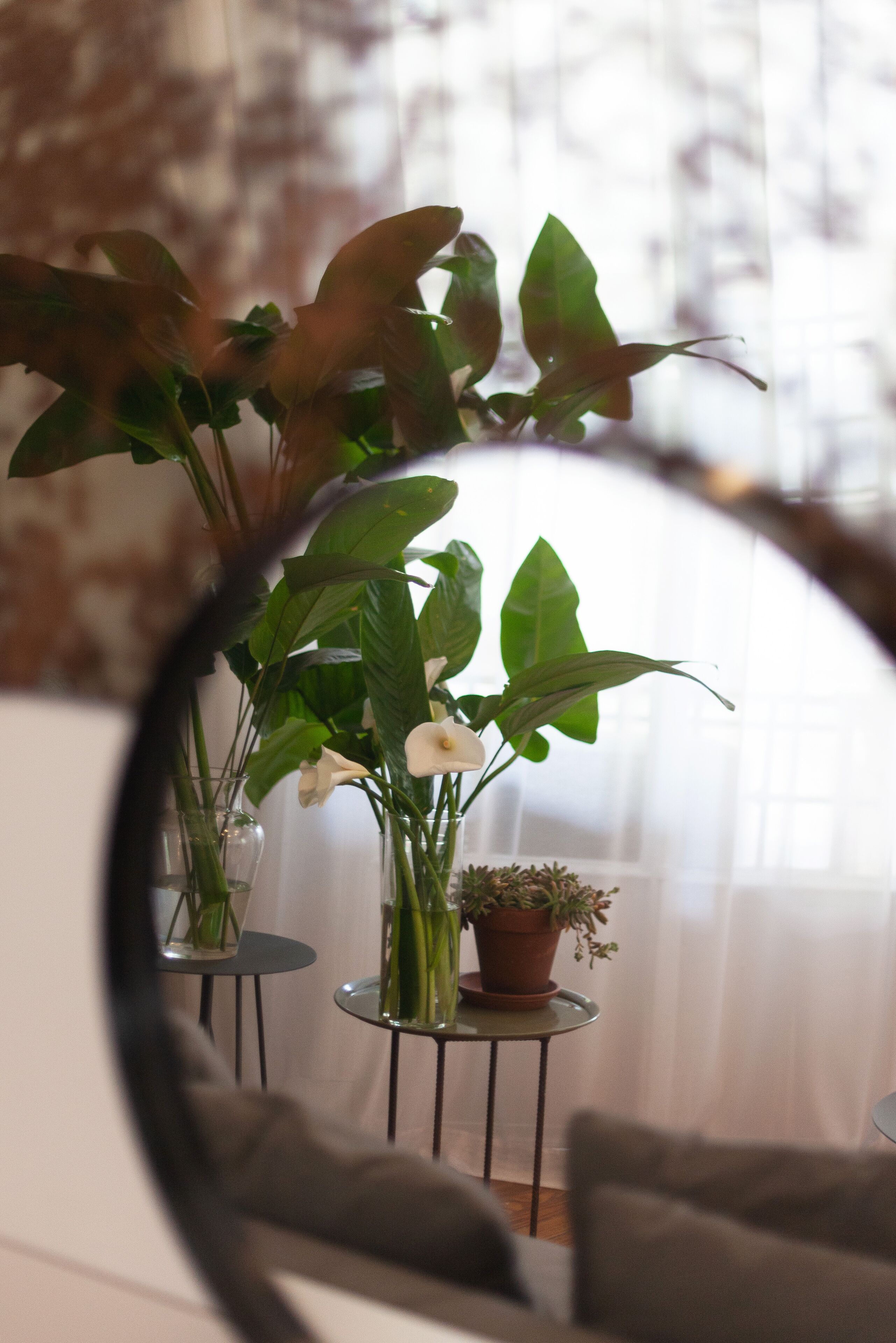 Photo - Franca City Hostel