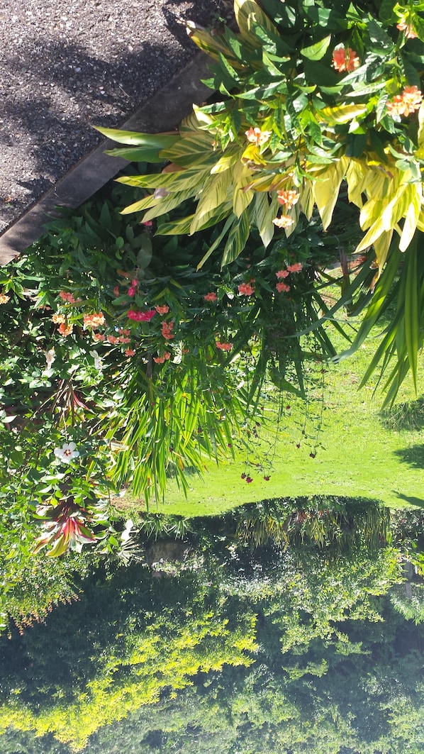 Property grounds - Tranquil hideaway for travelers needing to unwind and be In tune with nature (Discovery Bay)