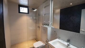 A modern bathroom with a walk-in shower, a toilet, a sink, and a large mirror.