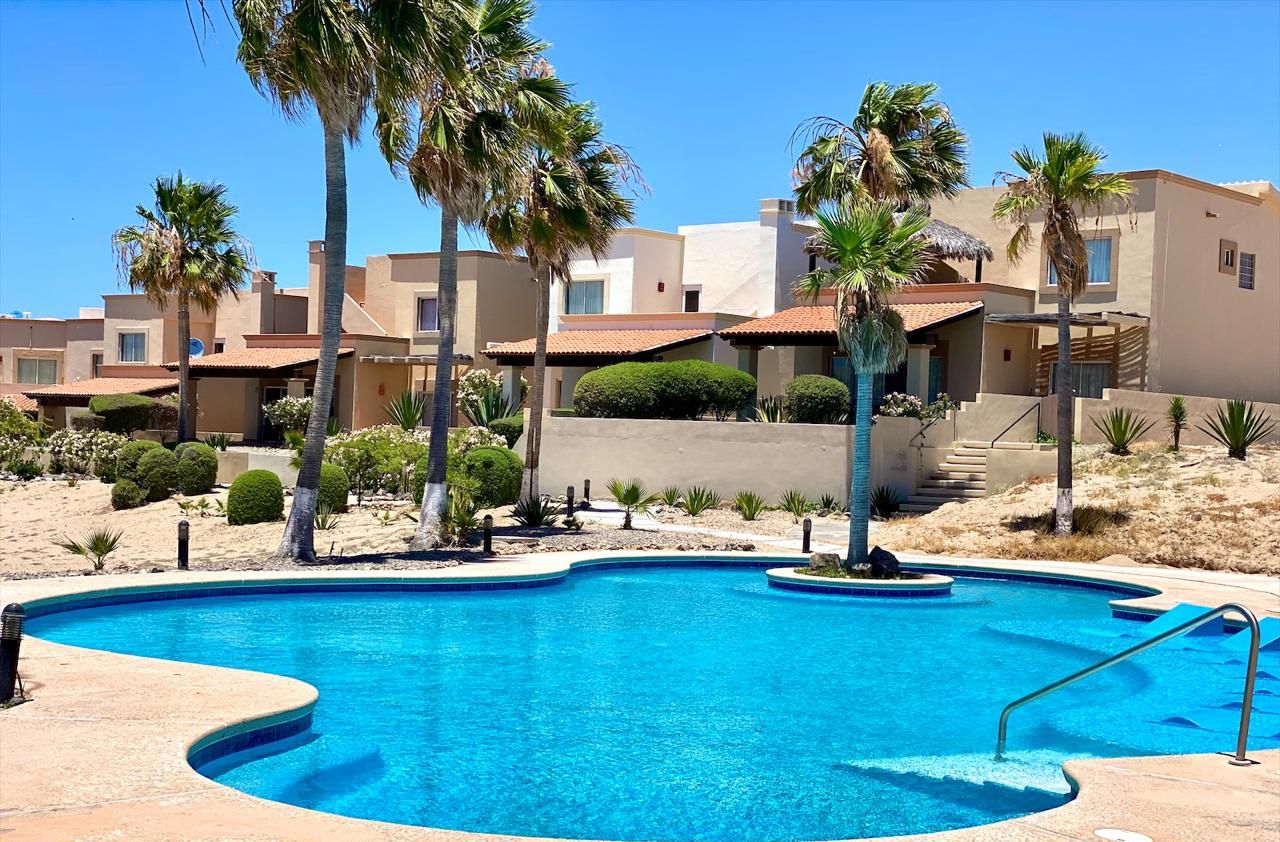 Una piscina de borde curvo, rodeada de palmeras y un paisaje desértico.