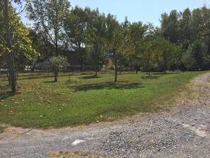 Stroll through the lush grass and trees, surrounded by vibrant flowers.